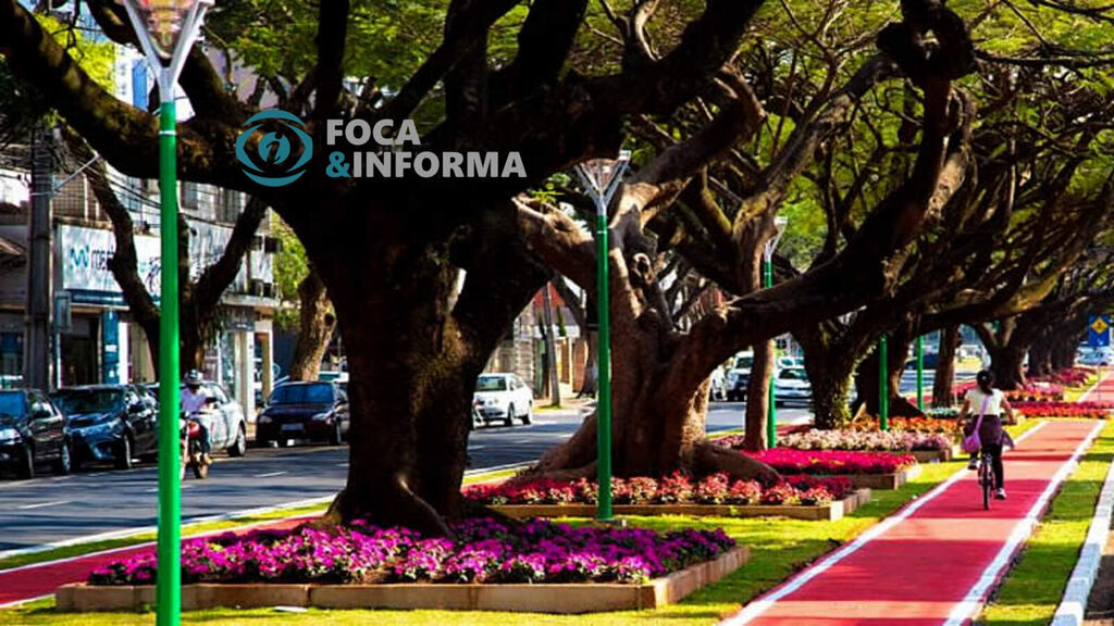 REFERÊNCIA BRASILEIRA: Na cidade de Maringá não existe lixo nas ruas, o que predomina é limpeza urbana e sustentabilidade